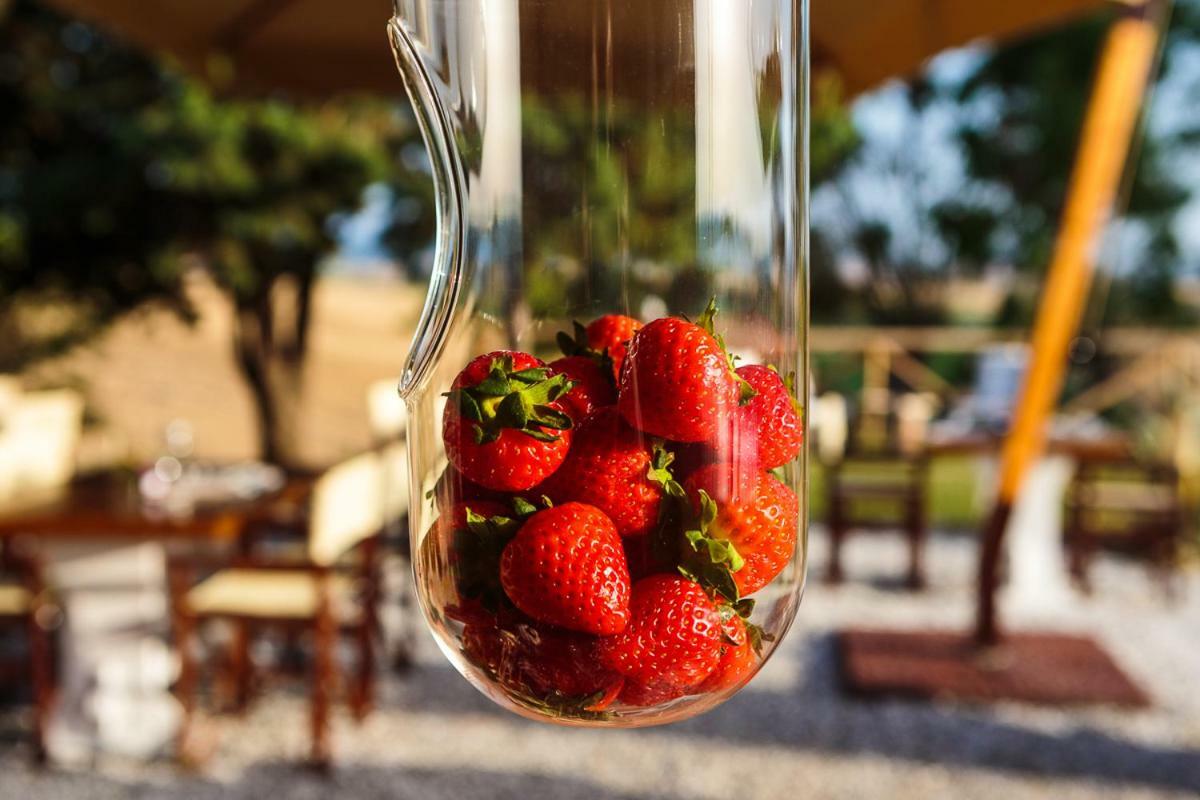 Il Montelletto Bed & Breakfast Santa Luce Luaran gambar